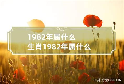 1982属什么